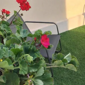 Perla Marina Appartamento